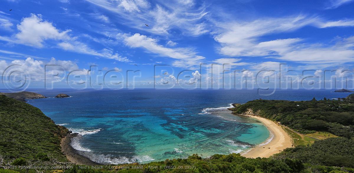 Peter Bellingham Photography Ned's Beach - Lord Howe Island - NSW T (PB5D 00 2937)